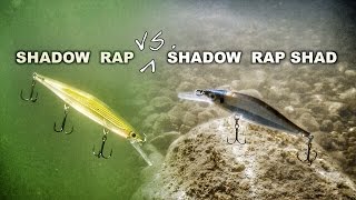 Rapala shadow rap deep sdrd11
