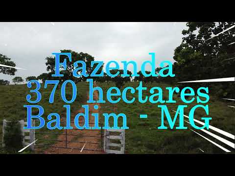 Fazenda com 370 hectares em Baldim - MG. R$8.140.000,00