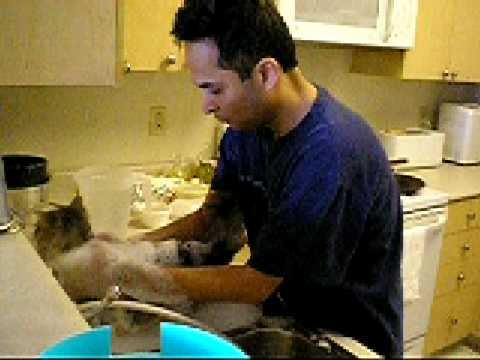 Shabnam is taking a bath