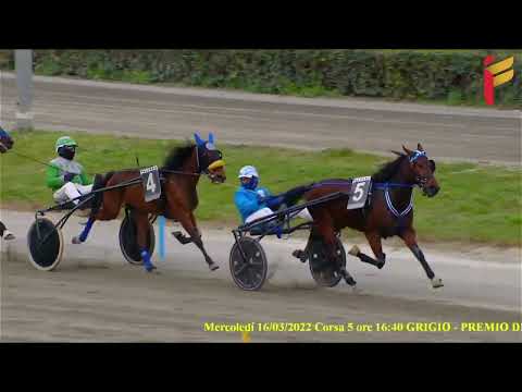 V Corsa del 16 Marzo 2022 - 3 Anni - Metri 1600