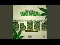 Fumando Marijuana