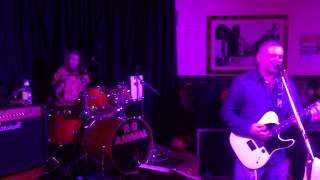 Rockers Quoing  Mad About The Boy   28 10 12