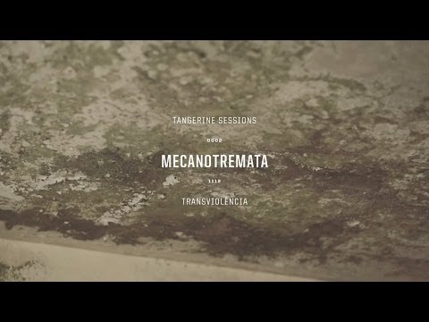 Mecanotremata ▸ Transviolência @ Tangerine Sessions