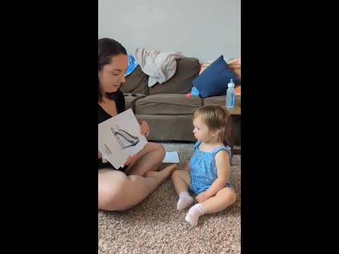 Matching Pictures to Doman Learning Words!