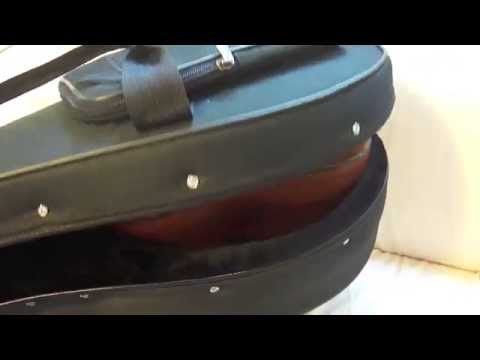 OHANA 10 String Ukulele Review