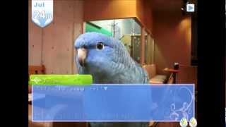 Let's Play Hatoful Boyfriend Pt. 5: 810 Vitality Girl!