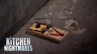 Rats and Roaches in Restaurant Basement - Kitchen Nightmares