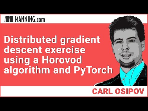 Distributed gradient descent exercise using a Horovod algorithm and PyTorch