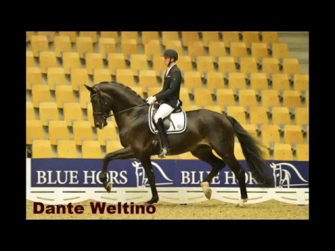 www.reitschule-sandbrink.de Merry Christmas - our horses 2015