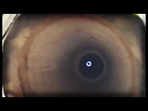 Busa Pista-DJ Redu/kzr.dj mango/