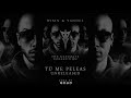 Yandel Feat De La Ghetto Franco El Gorila Tú Me Peleas