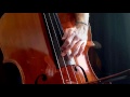Björk Unravel - double bass cover JB Salles