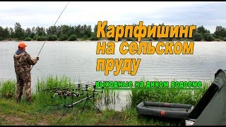 Ловля карп ранней весной на диком водоеме