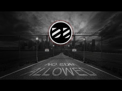 Dub Elements - Come Roll With Me