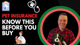 Pet Insurance | What Every Pet Owner Needs To Know