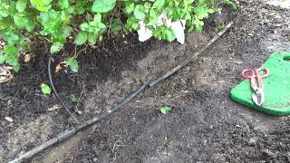 Drip Irrigation MasterClass for Beginners/Part 20