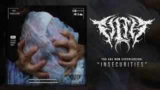 Insecurities Music Video