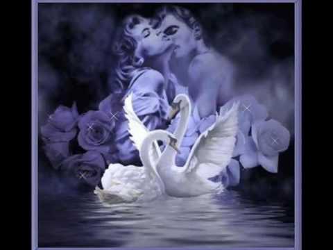 HONZA NEDVĚD  - Stálice