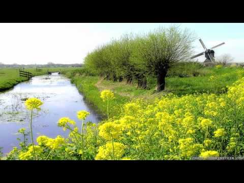 Gogzy - Progressive House - April 2012 Promo Mix