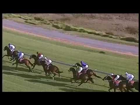 2016..05.15 East Cape Derby (RSA) - Captain Splendid