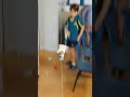IMG 4122