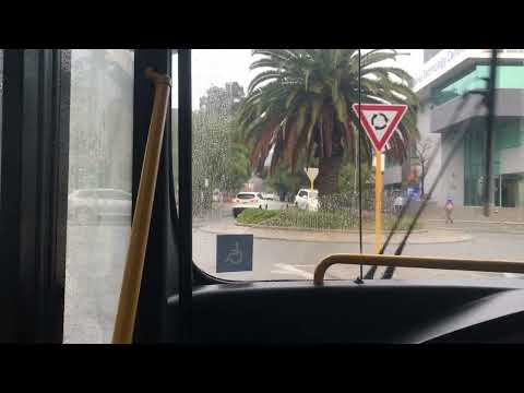 Transperth Red CAT announcements