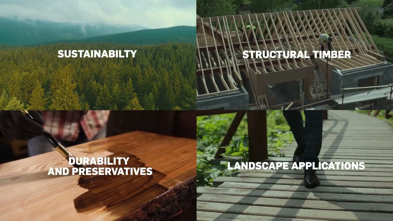 New timber CPD courses