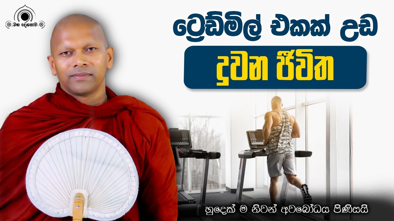 "මානසං" තුලින් ලොව දකිමු