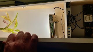 What does the secret grow cabinet hold? - Powered by Mars Hydro