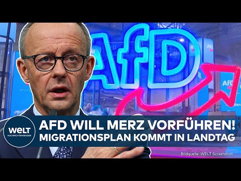 Video Thumbnail: MIGRATION: Fällt Merz um? Plan der Union könnte scheitern - AfD plant Abstimmung im Landtag