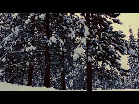 12 25 15 MT Shasta Bunny flats