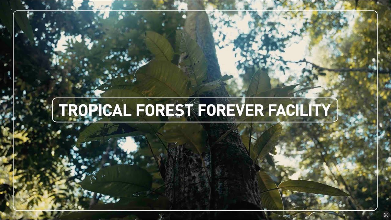 Introducing The Tropical Forest Forever Facility