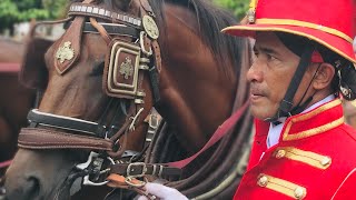 Download lagu KIRAB TRUNAJAYA KARATON NGAYOGYAKARTA 2025 - SEPANJANG JALAN MALIOBORO JOGJA mp3