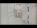 Ujjain Mahakal Aarti : देखिए महाकाल की भस्म आरती, भगवान महाकाल का भांग से किया गया श्रृंगार - Video
