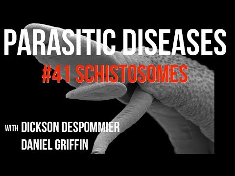 Paraziti u organizmu