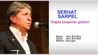 SERHAT SARPEL  Dağda tavşanlar geziyor