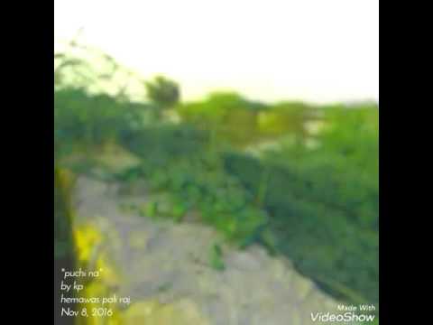 puchi na 2 ft shar s kps