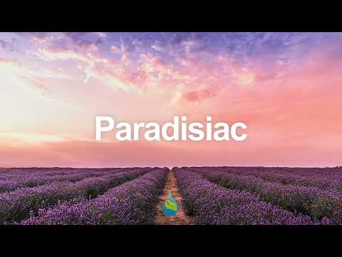 Vision Factory ft. Maxime - Sunshine (Justin Le Mar Remix)