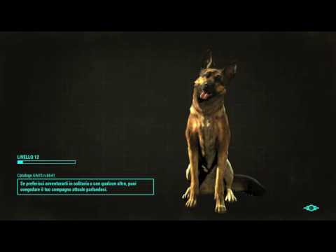 Fallout 4: Bug da morire?