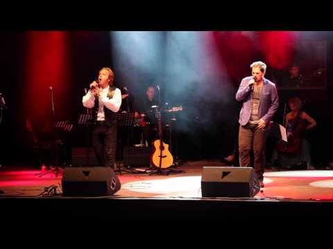 17. Sommernacht des Musicals 2015