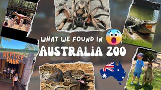 Animals We Found in Australia Zoo😲 || Dangerous Animals In Australia