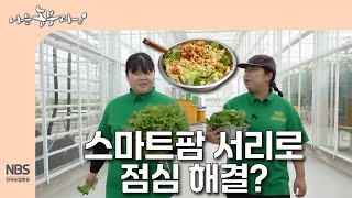 [나는농부다 302회] 스마트팜 서리로 점심 해결?