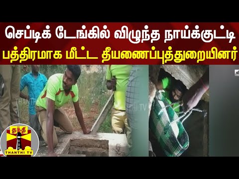 செப்டிக் டேங்கில் விழுந்த நாய்க்குட்டி - பத்திரமாக மீட்ட தீயணைப்புத்துறையினர்