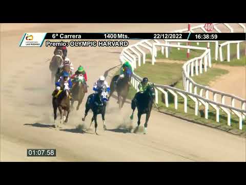 221222 c06 - NOA - HIPODROMO LAS PIEDRAS