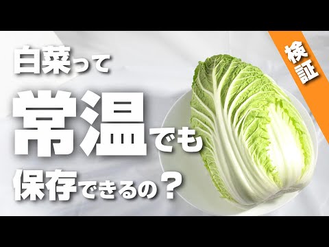 白菜の冷凍:可能ですか?可能ならどのようにすればよいですか? 植物
