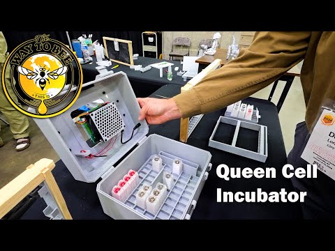 EZPZ Award Winning Swarm Cage, and Incubator discussion with Dan Long