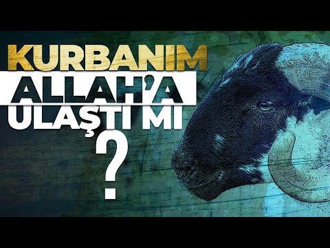 Kurbanım Allah'a Ulaştı Mı? | Said Şaşmaz