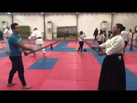 Circular motion with bokken (Aikido)