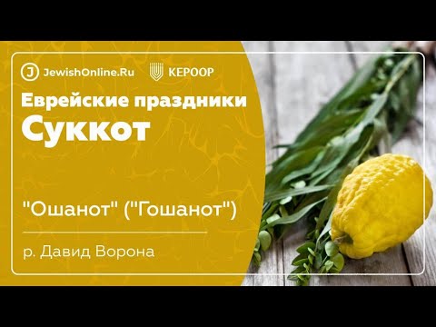 Еврейские праздники: Суккот. Урок 11: "Ошанот" ("Гошанот")