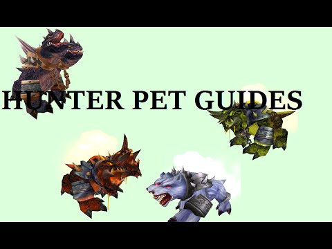 Where To Tame Red Core Hound Guide (WOW) Hunter Pet Guides